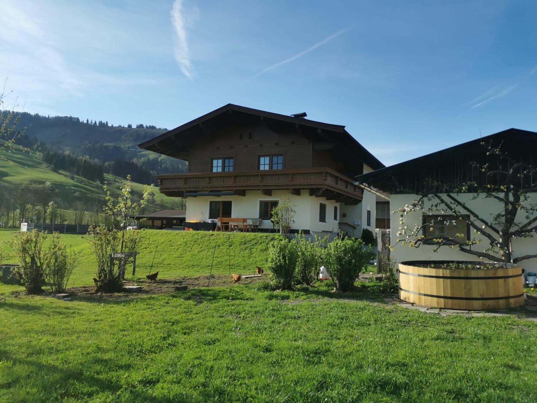 Ferienwohnung Eder Hochfilzen Dış mekan fotoğraf